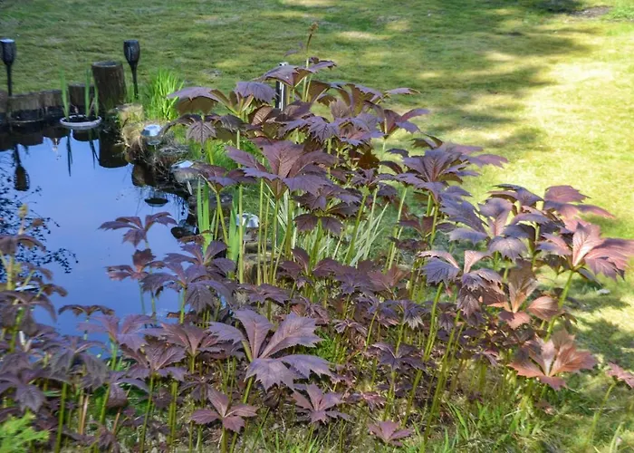 Nyaraló 2 Bedroom Cozy In